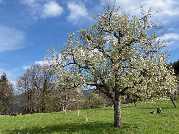 22-04-04 15-04-46 0393